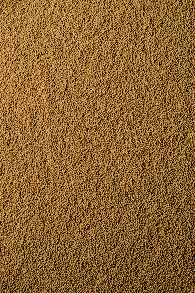 A Pile of Amaranth Seeds