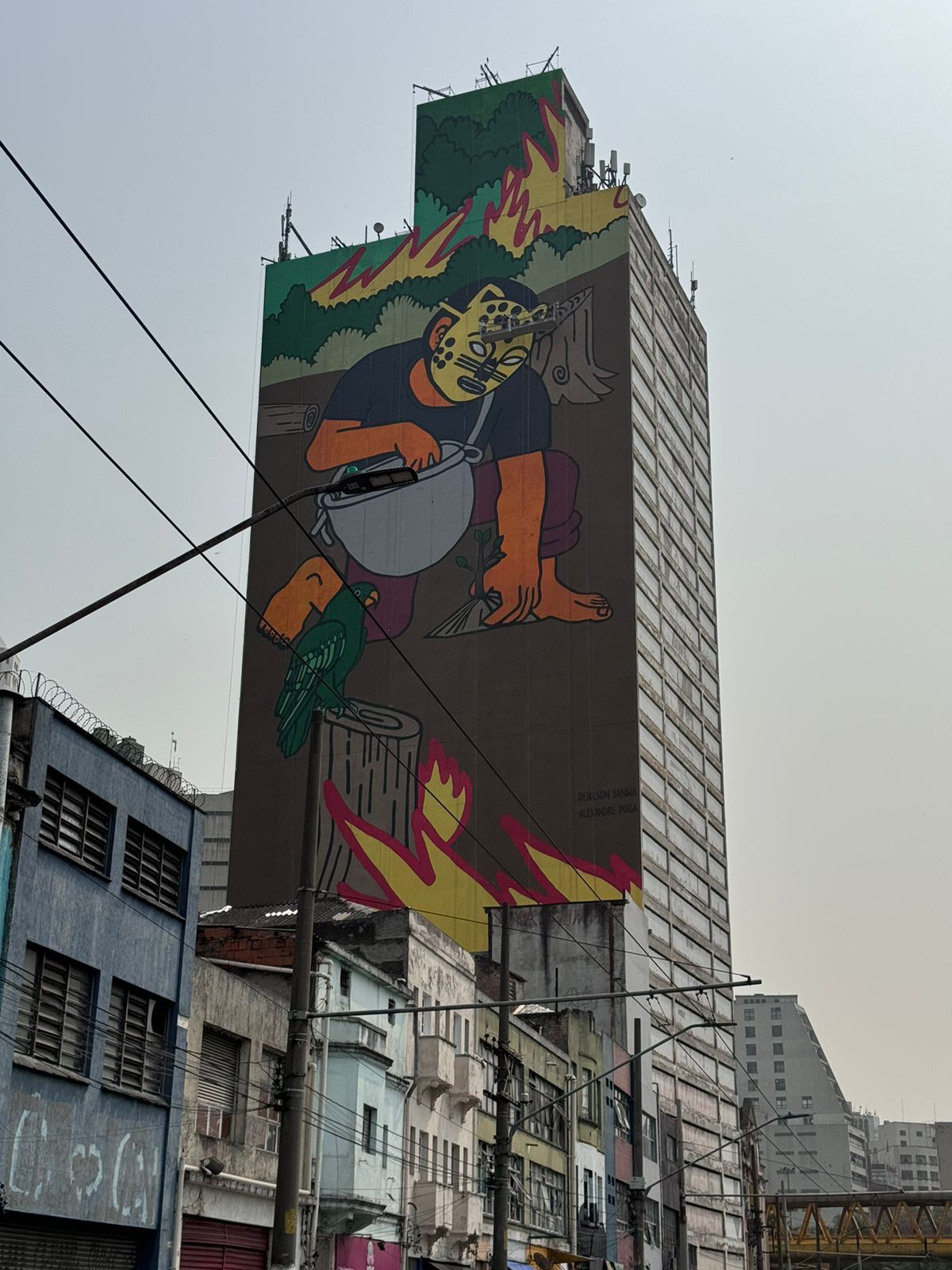 No dia 9 de setembro, São Paulo celebra a inauguração do mural “O Chamado da Floresta”