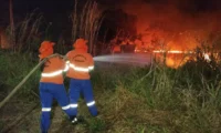 Todos os biomas do Brasil registram focos de incêndios nesta sexta